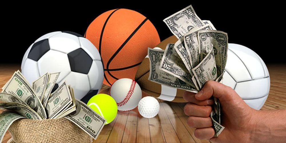 Quiet Systems Helping Daily Sports Sessions Feel More Organized Naturally
